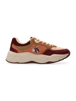 Hot Scotch & Soda Celest